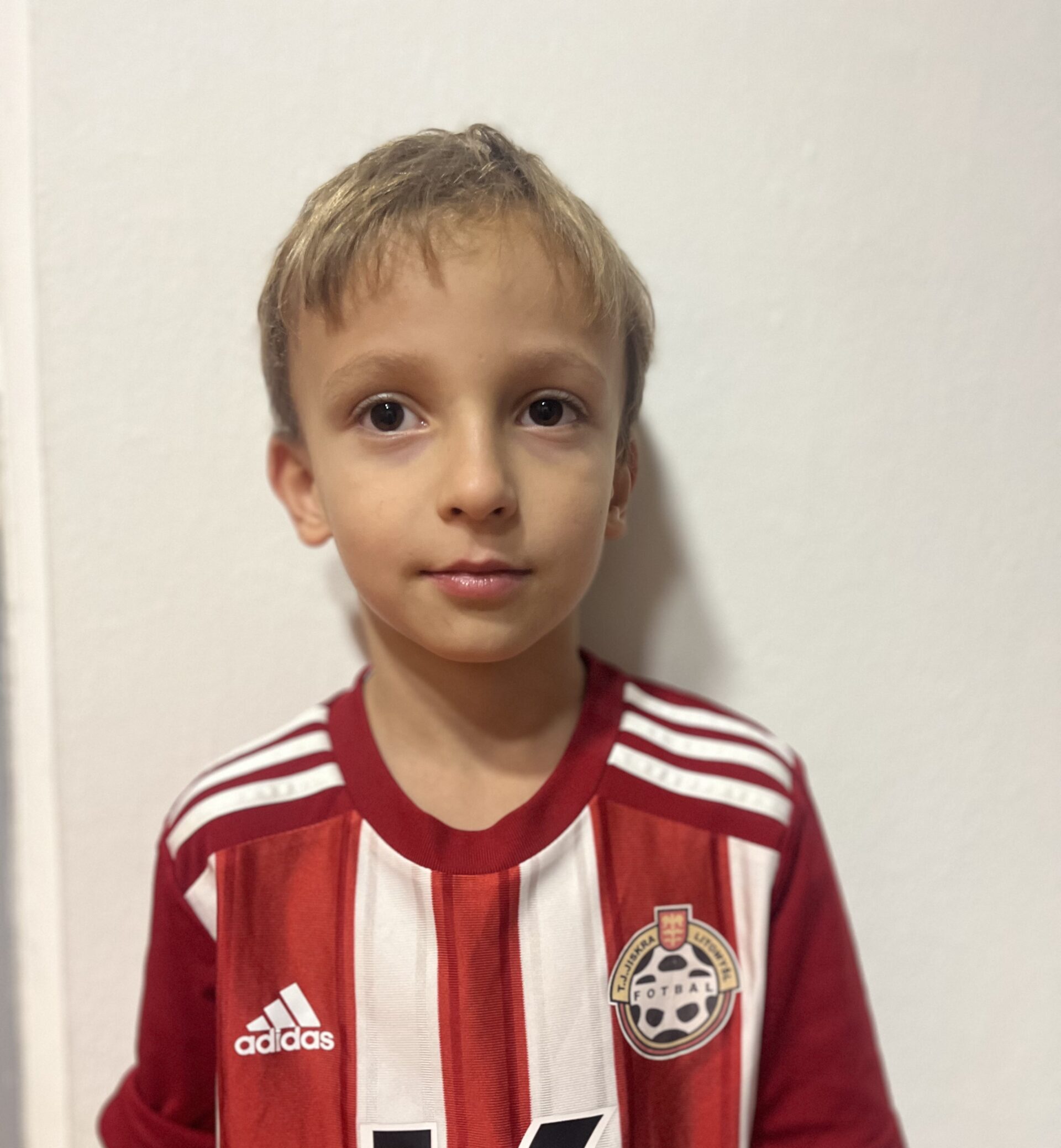 Tobias Frankovič 2019