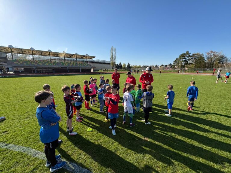 3b9d07c8-ae97-43da-8e6f-c452ad1f54ea